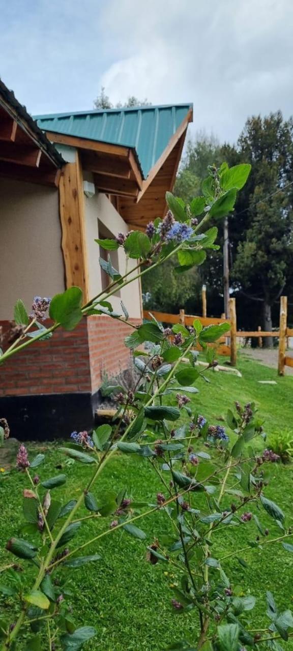 Lodge Arroyo Escondido Trevelin